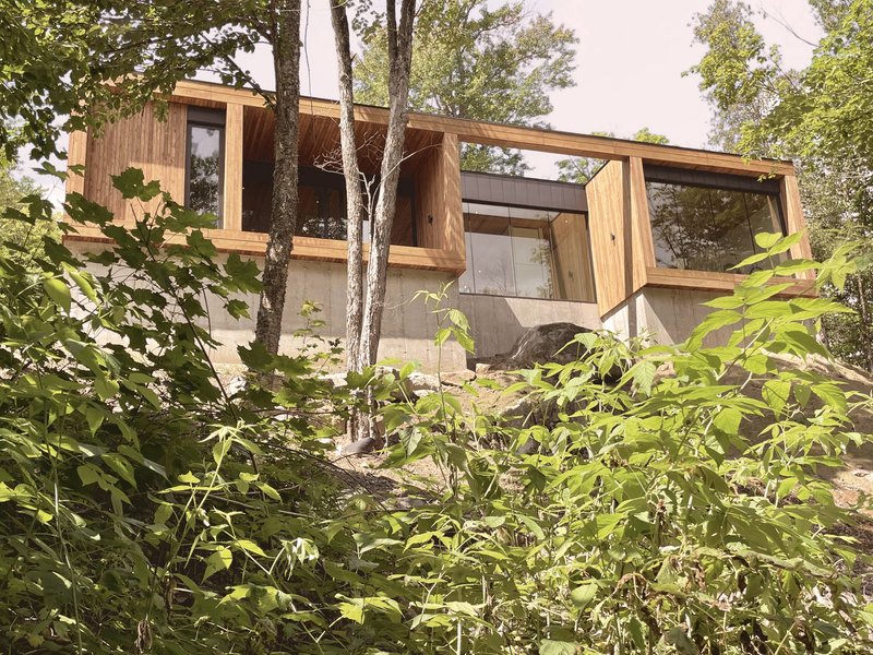 Timber and concrete facade elevated above a sloped wooded site with native vegetation