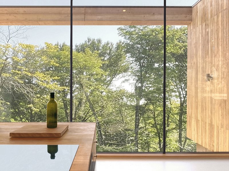 Floor-to-ceiling glazing framing a view of deciduous trees through black steel mullions with timber soffit above