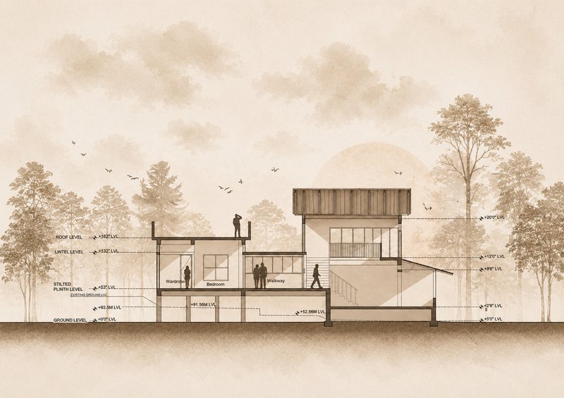 Section drawing showing split-level interior spaces with timber cladding and surrounding trees with birds overhead