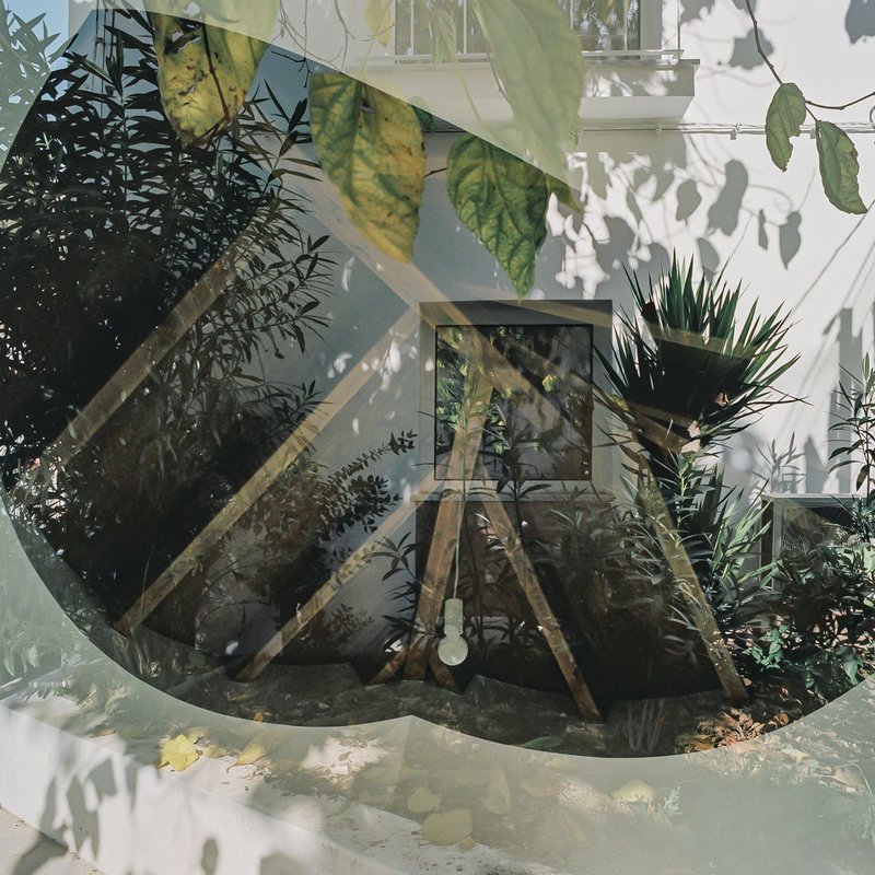 Interior courtyard view through dense foliage and hanging banana leaves with dappled sunlight