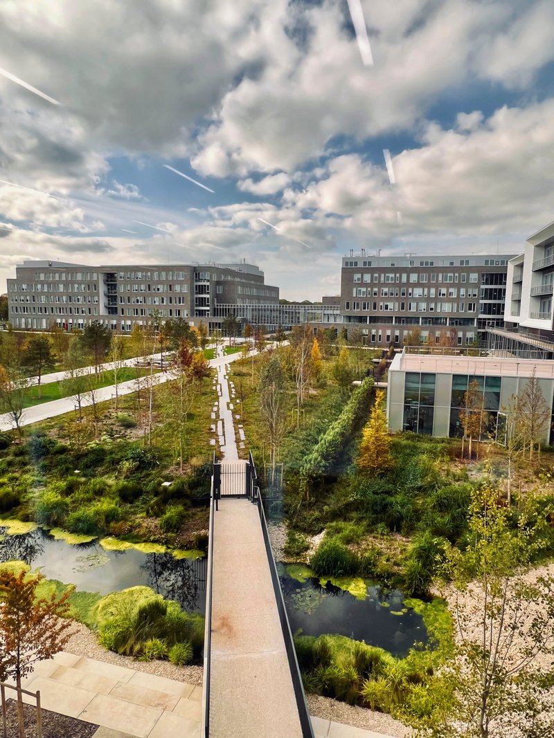 Pedestrian bridge crossing wetland plantings toward glass and metal residential blocks under cloudy skies