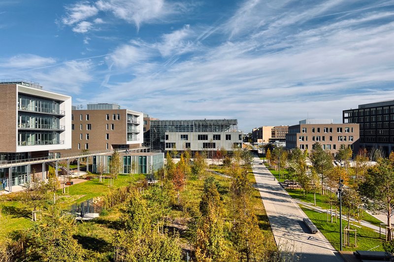 View across the landscaped roof terrace with linear pathways and young trees under wispy clouds