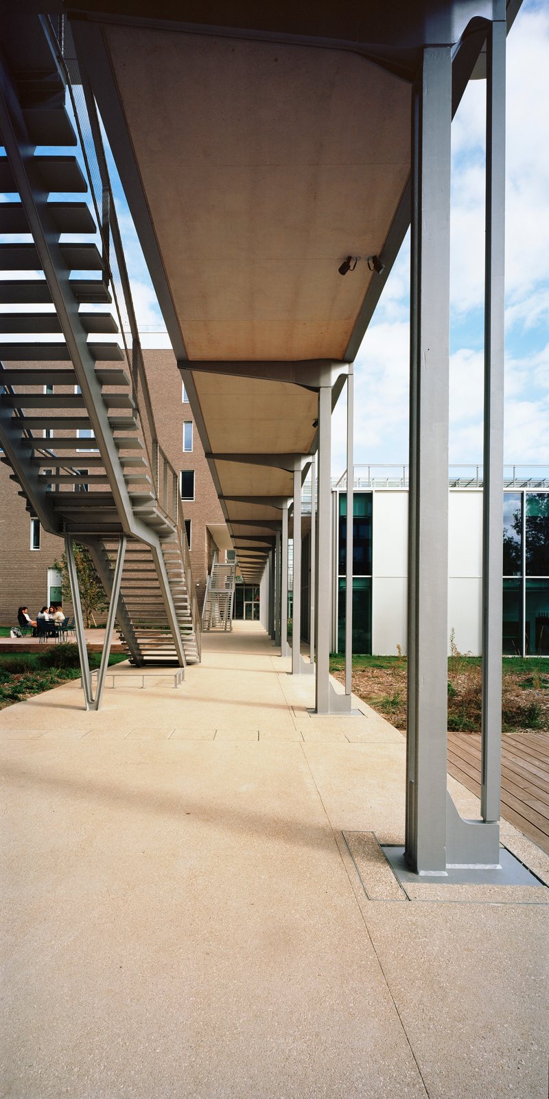 Covered walkway with timber-lined soffit, steel columns and an open staircase in afternoon light