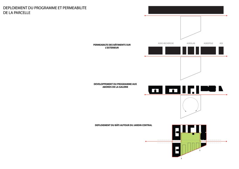 Phasing diagram illustrating four development stages from solid blocks to buildings around a green garden