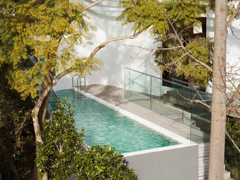 Elevated pool terrace with glass balustrade and timber deck framed by mature trees