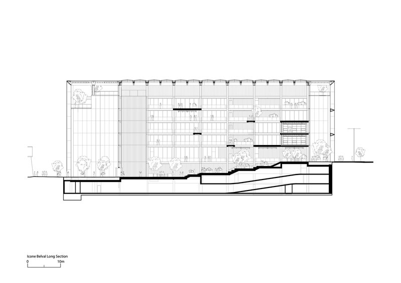 Longitudinal section drawing revealing terraced interior levels beneath a gridded facade and planted roof terraces
