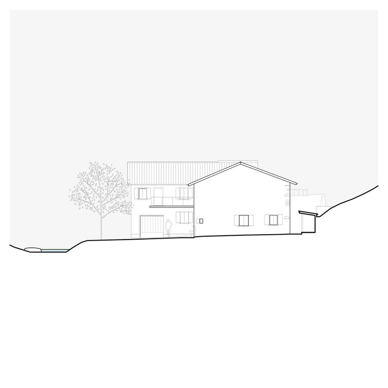 Elevation drawing presenting the opposite facade with garage door opening and tree in foreground