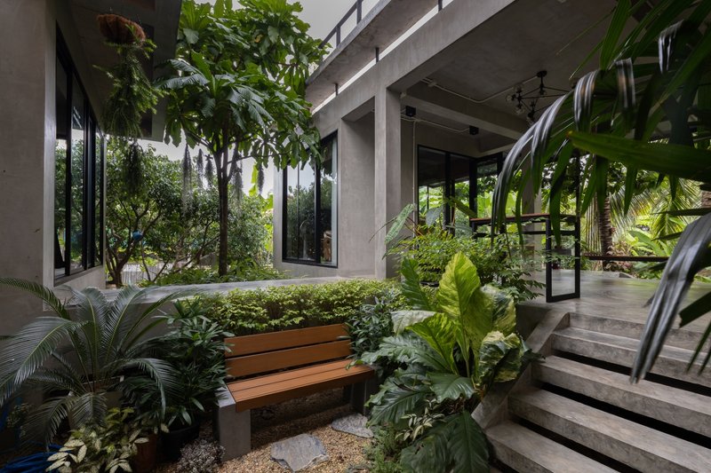 Planted interior courtyard with timber bench and concrete steps surrounded by glazed walls and tropical foliage