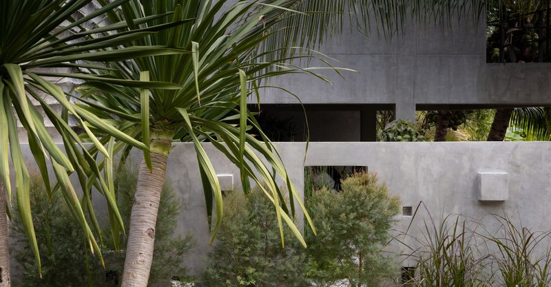 Concrete facade with horizontal window openings behind palm fronds and planted gravel courtyard