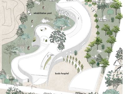 Koala Haven: Wildlife Rehabilitation Architecture Designed for Koalas and Nature