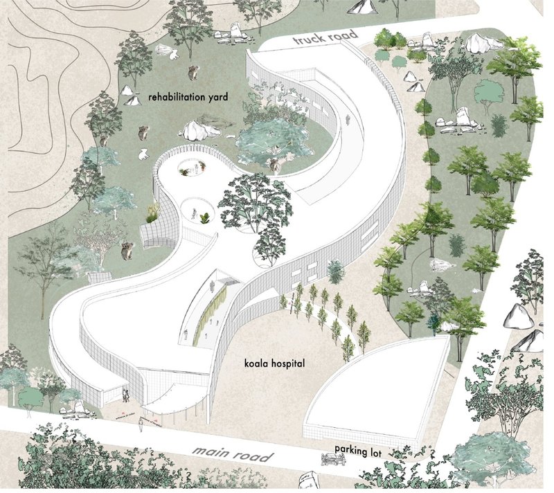 Koala Haven: Wildlife Rehabilitation Architecture Designed for Koalas and Nature