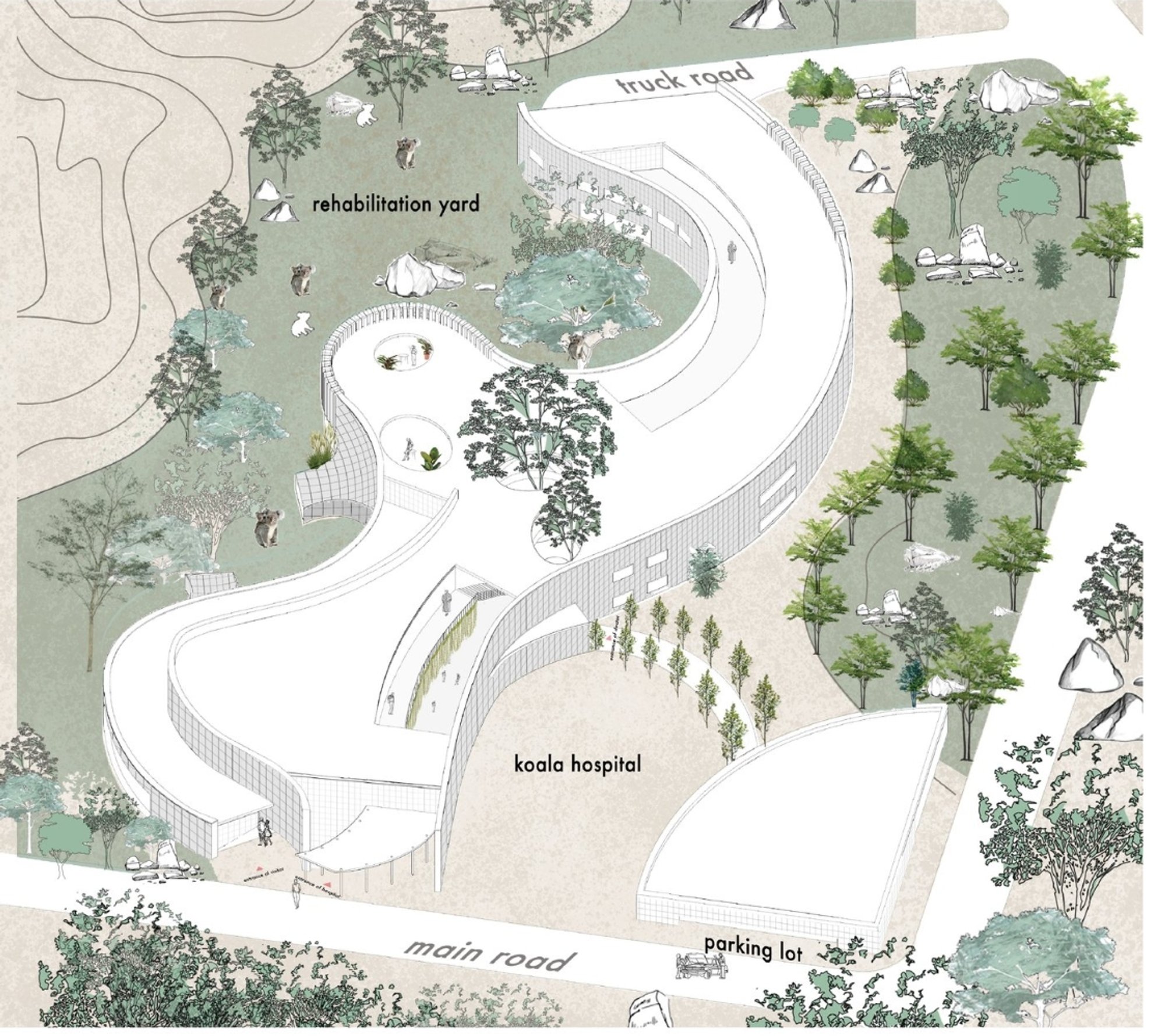 Koala Haven: Wildlife Rehabilitation Architecture Designed for Koalas and Nature