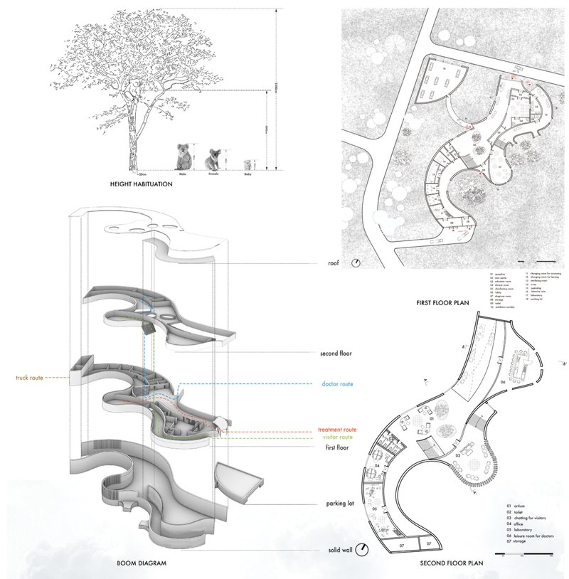 Conceptual diagrams illustrating circulation, habitat integration, and the relationship between humans, koalas, and nature.