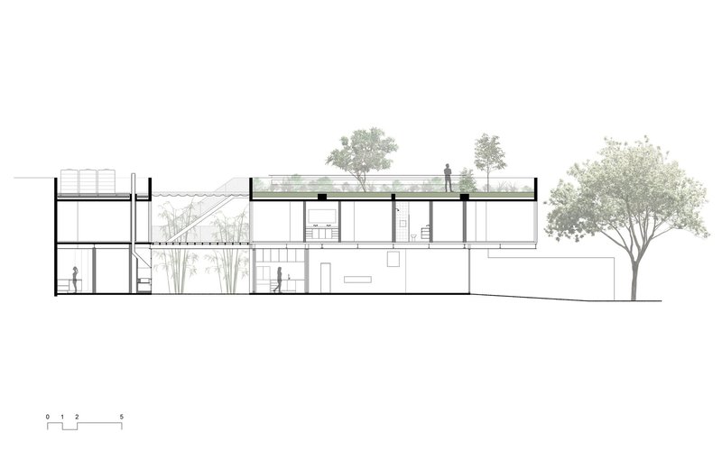 Longitudinal section drawing showing split levels with roof terraces, planted areas and figures at different heights