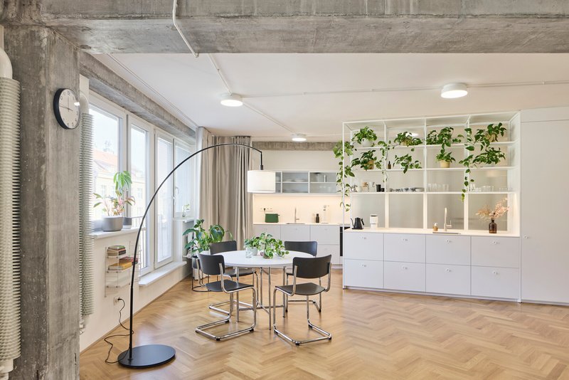 Open living and dining space with kitchenette and shelving filled with trailing green plants