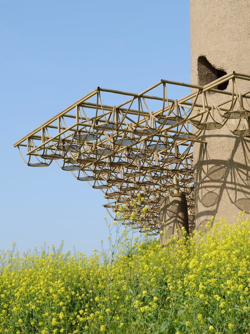 Underside view of the timber lattice canopy against a clear blue sky with yellow flowering field below