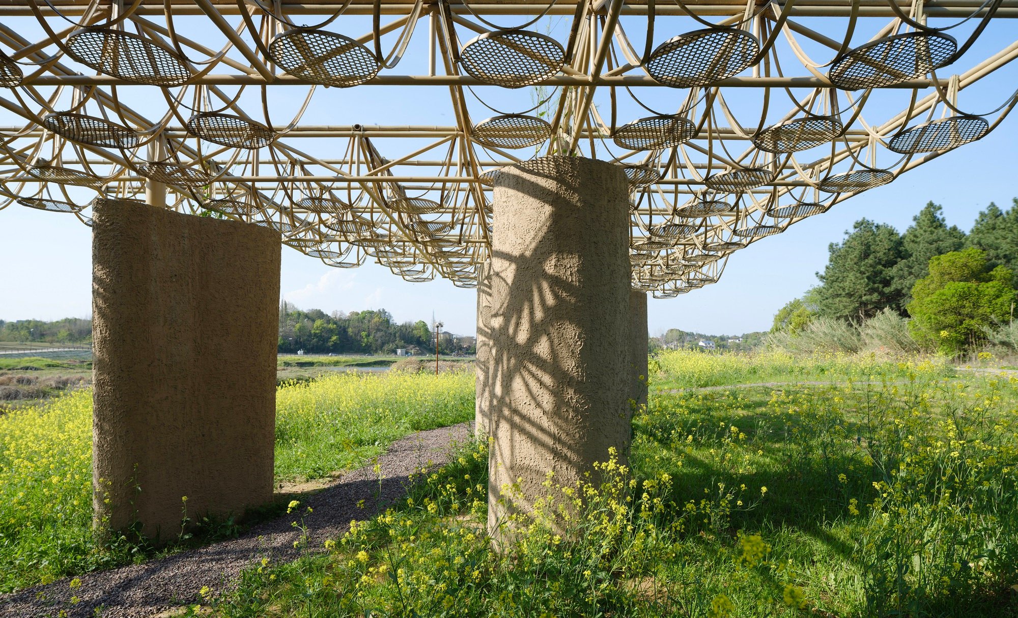 Studio 10 Carves Cave-Like Pavilions into a Bamboo Canopy on the Longyou Wetlands