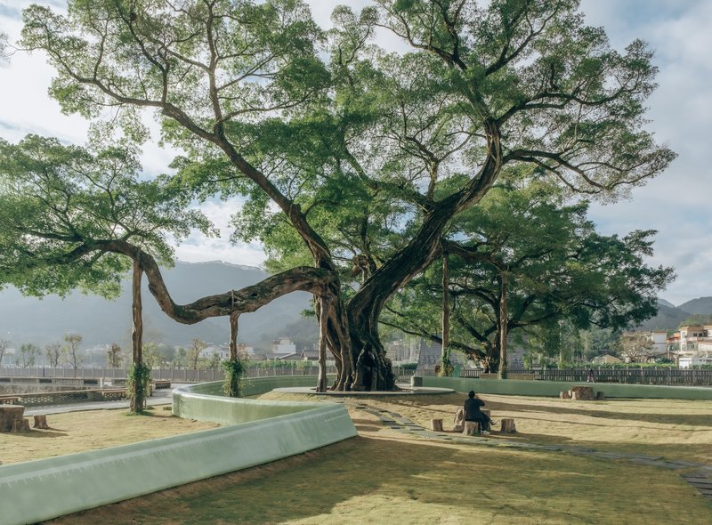 Plaza with a large old tree anchored by curved concrete benches and a seated visitor