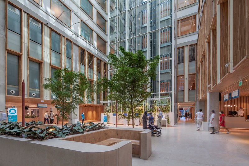 Glazed courtyard with timber-clad facades, planted trees in raised concrete planters and pedestrians passing through