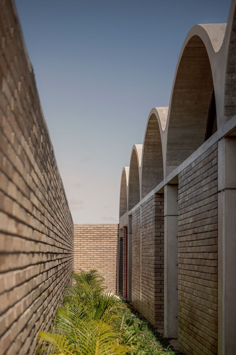 Narrow corridor between brick walls with repeating concrete vaults above and ferns below