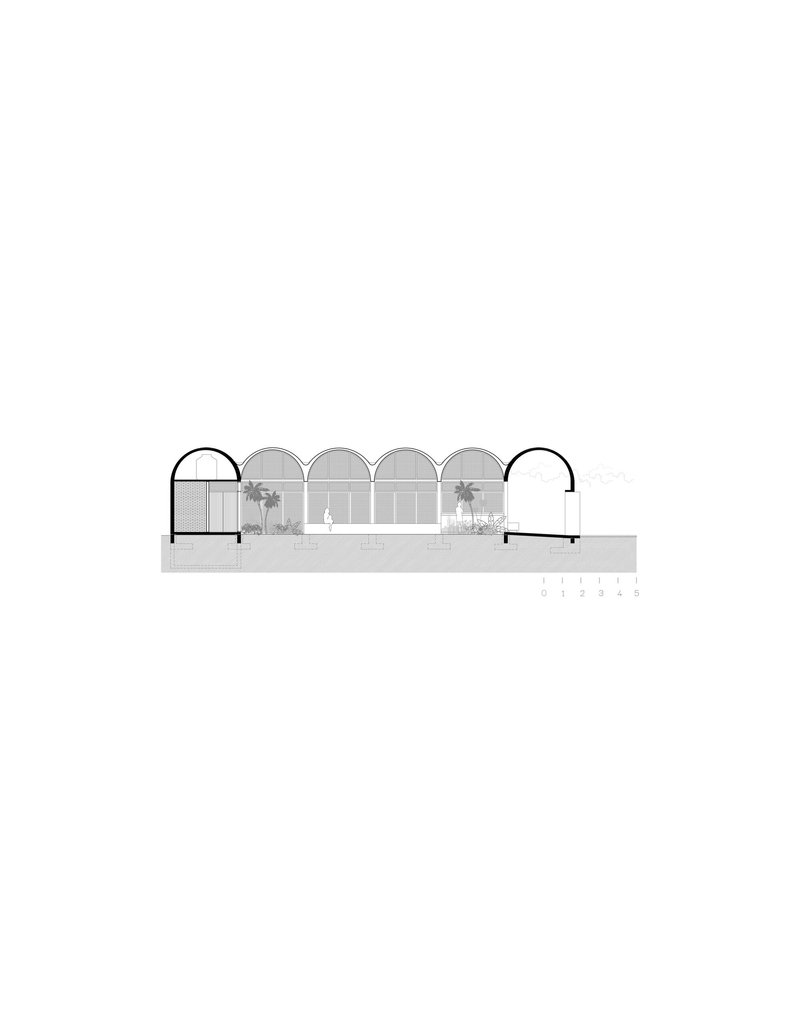 Section drawing showing a series of barrel-vaulted bays with interior palms and courtyards