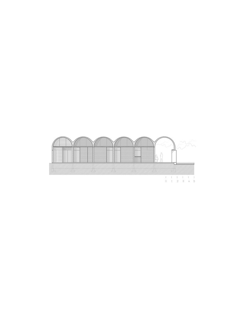 Section drawing depicting repeating arched vaults spanning interior spaces with transparent end bays
