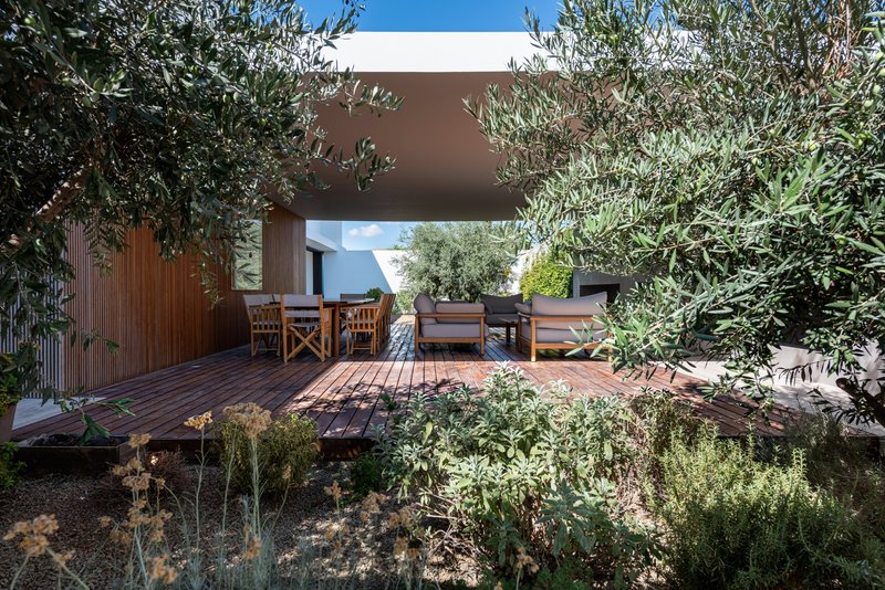 Timber deck terrace surrounded by olive trees and planted beds under blue sky