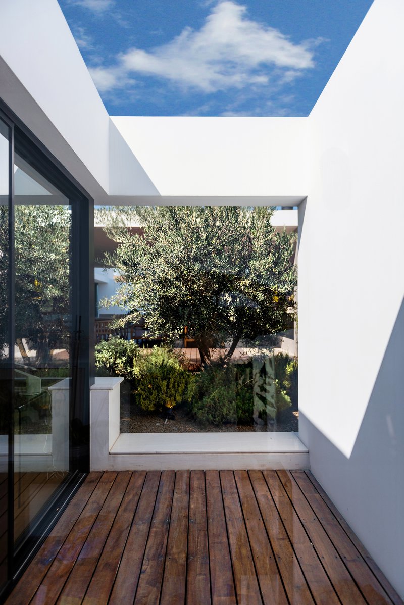 Timber deck terrace with rectangular skylight opening above framing blue sky and planted courtyard beyond