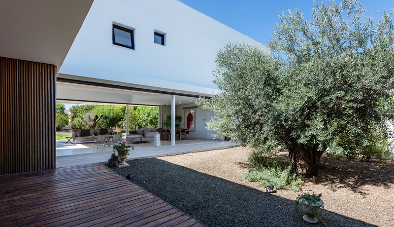 Courtyard with gravel path between timber-clad wall and mature olive tree beneath cantilevered upper floor