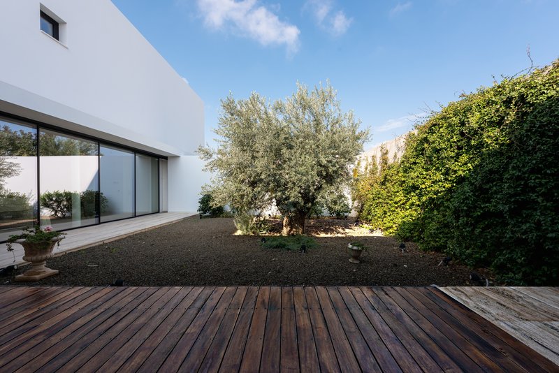 Gravel courtyard with timber deck and olive tree between white plaster volumes under blue sky