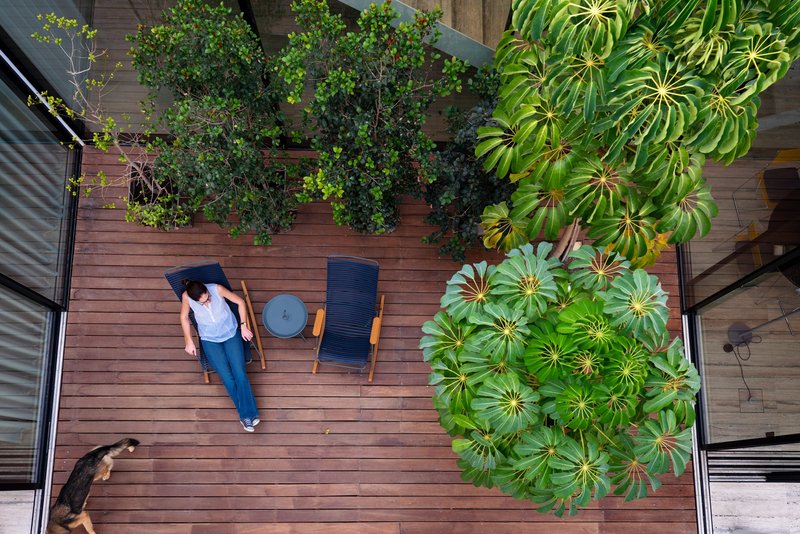 Overhead view of timber deck courtyard with person reclining beside potted umbrella plant and schefflera