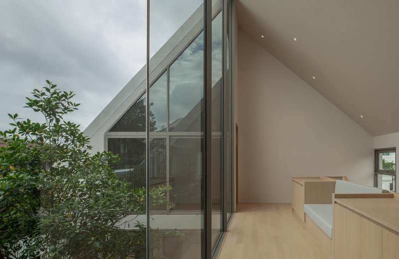 Sloped glass facade beside stepped timber seating overlooking interior courtyard tree under grey sky