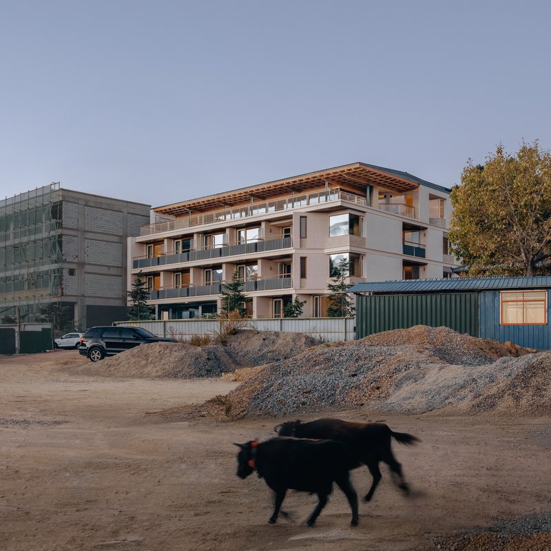 Street-level facade with recessed balconies and timber-clad top floor as a dog crosses the construction site