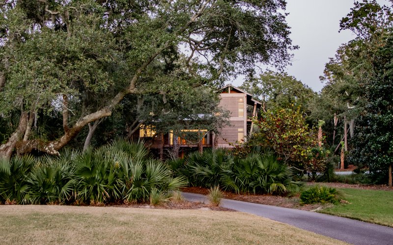 View from lawn through palmettos and live oaks toward the elevated timber structure at twilight