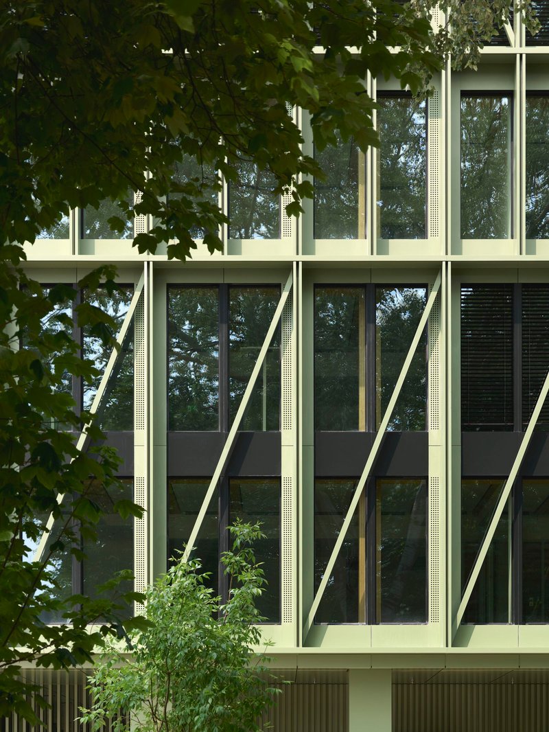 Close-up of the pale green diagonal bracing and perforated metal panels framed by overhanging tree branches