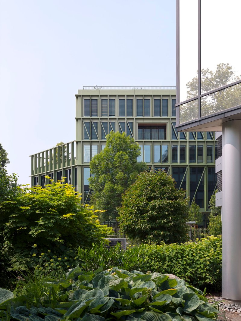 Rear view of the timber-framed facade seen through a foreground garden of hostas and ornamental grasses