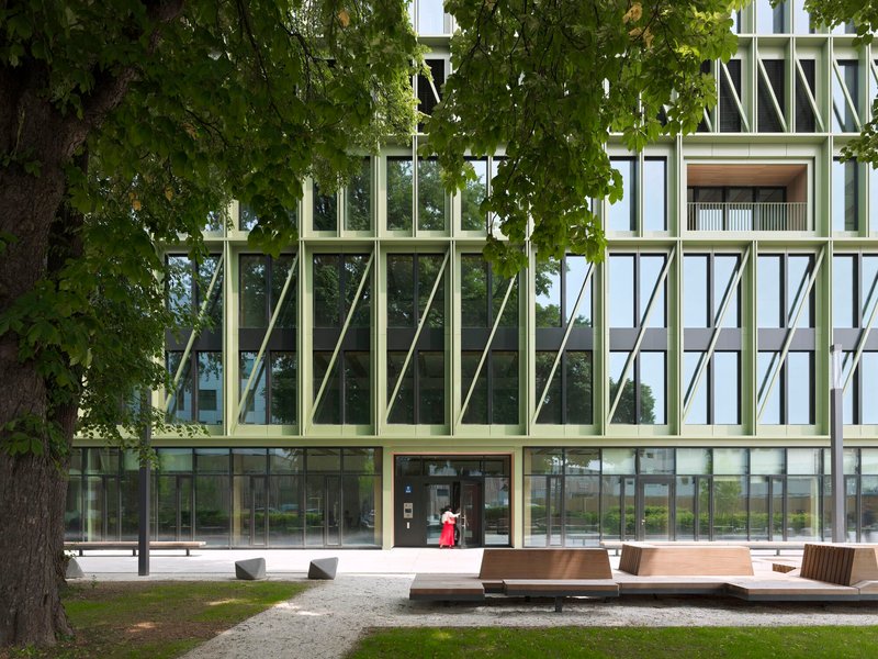 Ground-level entrance with green structural bracing behind mature trees and a timber bench in the plaza