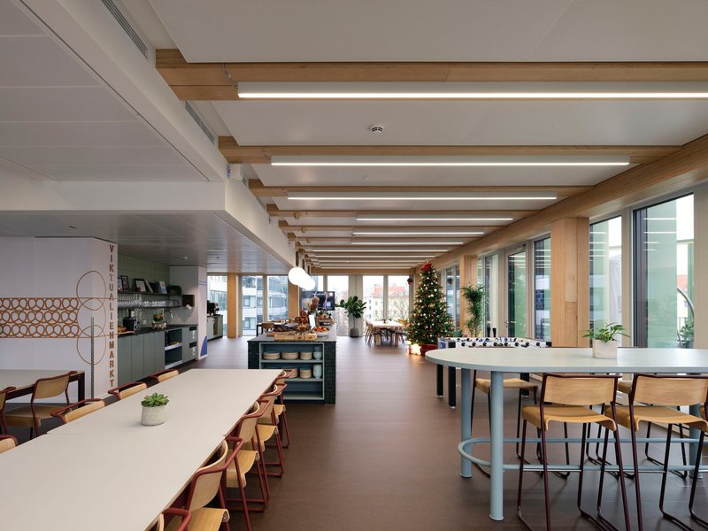Open office floor with timber ceiling beams and integrated linear lighting above shared tables