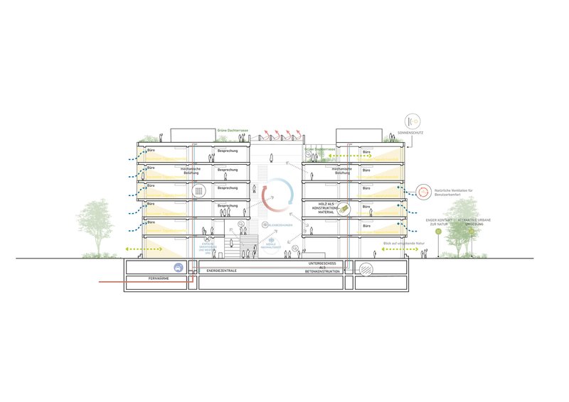 Building section drawing with annotated program spaces and flanking trees at grade level