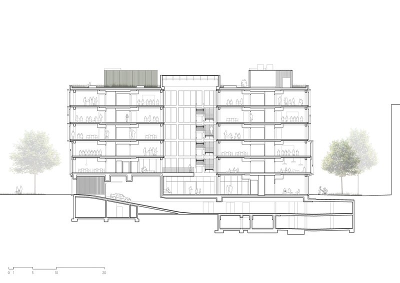Section drawing through multi-story building revealing central atrium and sloping underground levels with flanking trees