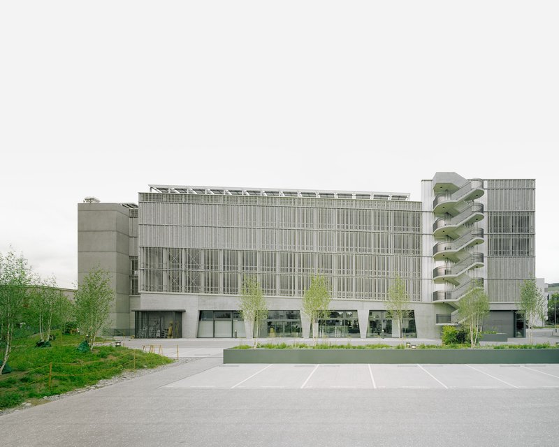Street view of the vertically louvered facade with planted landscaping and a young birch grove in front