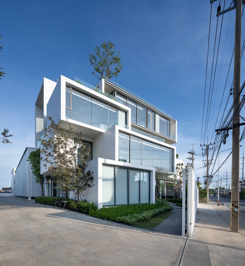 Corner facade showing white-framed glass panels and rooftop tree emerging from planted green buffer at street edge