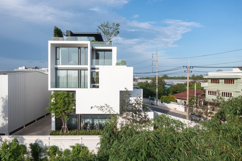 Street view of the white cubic volumes with recessed glazing and foreground vegetation