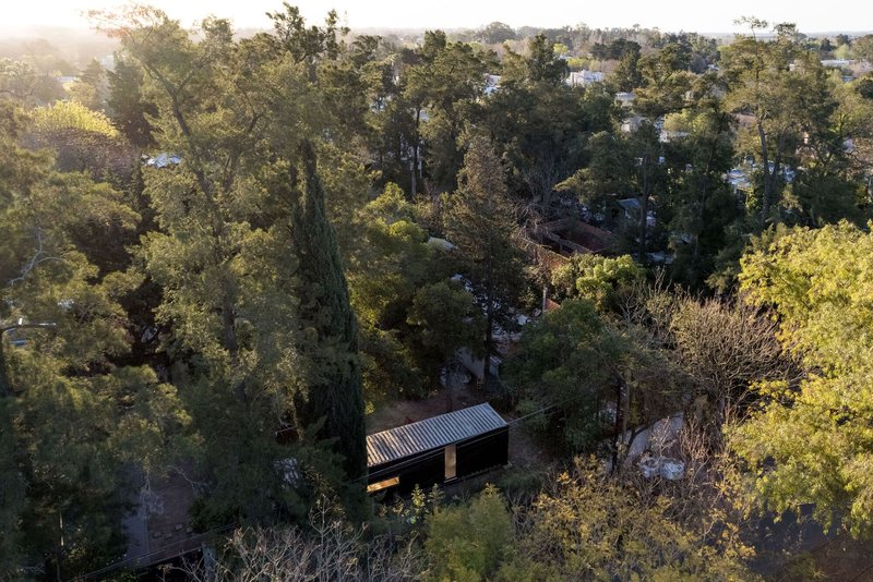 Aerial view of the corrugated roof nestled among dense tree cover in early morning light