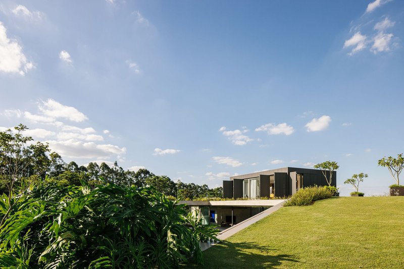 Grass-covered roof extending over the lower level beside tropical planted beds