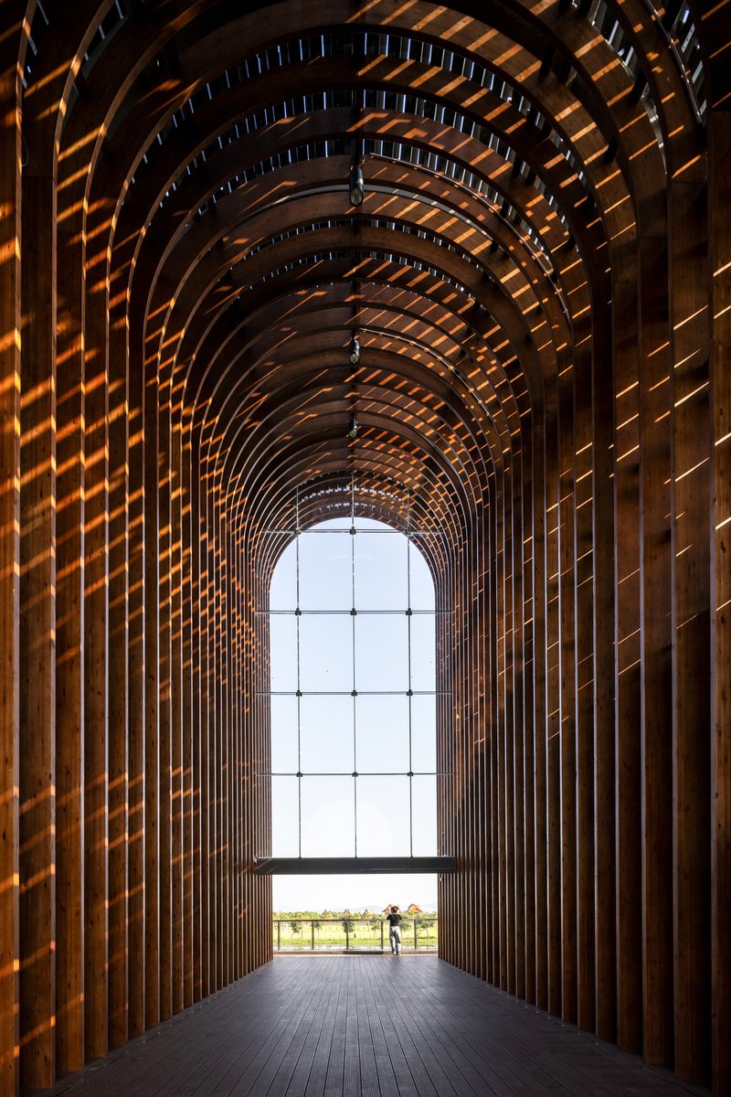 Interior view through vaulted timber rib arcade toward glazed opening with silhouetted figure