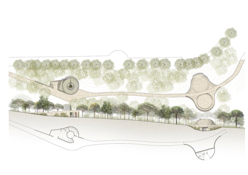Site plan drawing showing circular structures and curving paths among rows of existing trees
