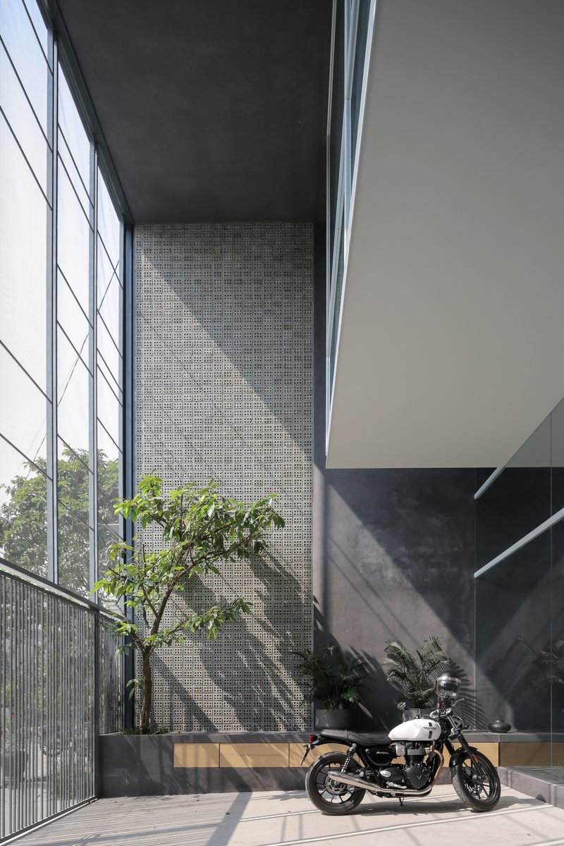 Courtyard terrace with perforated concrete screen wall and planted tree catching afternoon sunlight
