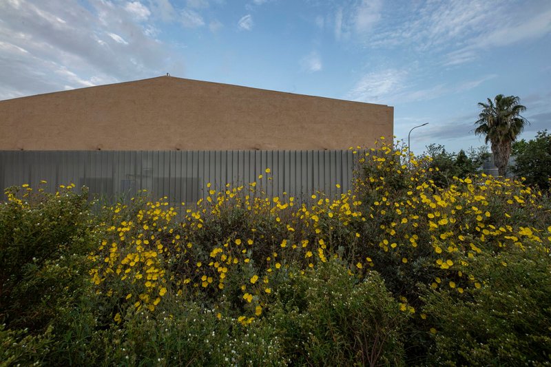 Corrugated metal facade base with yellow flowering shrubs along the planted foreground in daylight
