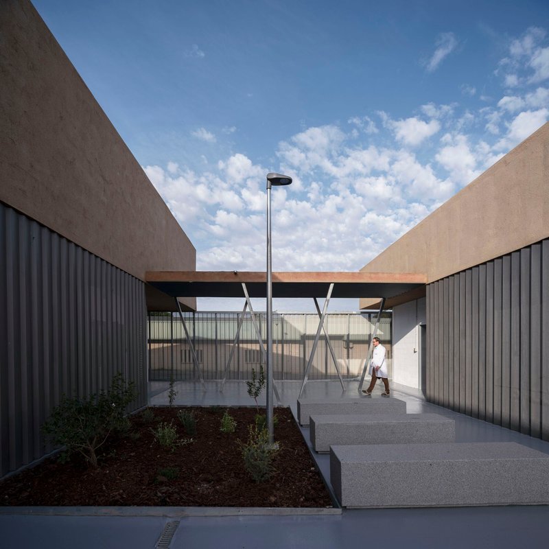 Outdoor courtyard with young tree, concrete pavers, and a person walking past the glass vestibule
